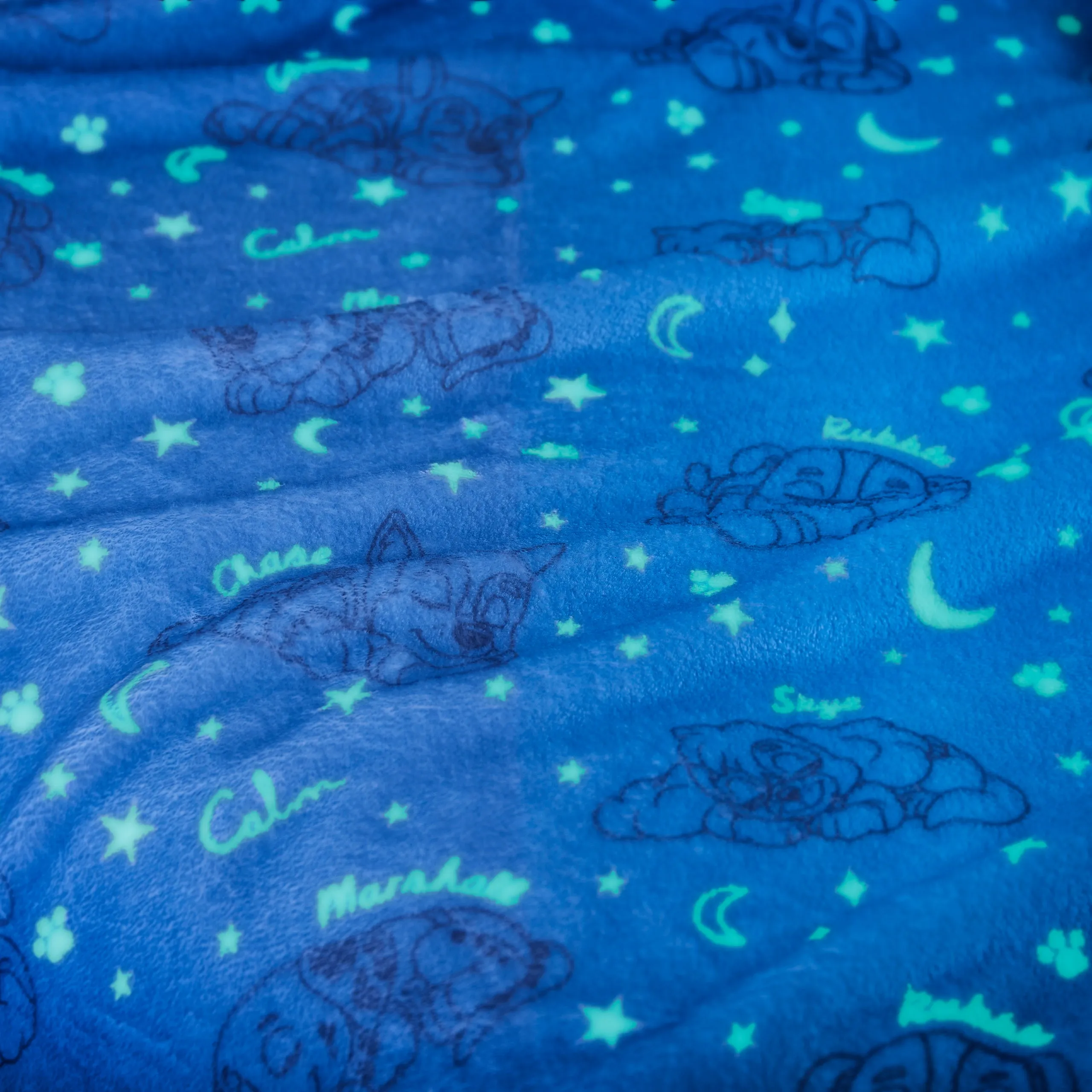 Paw Patrol Calm Fleece Blanket